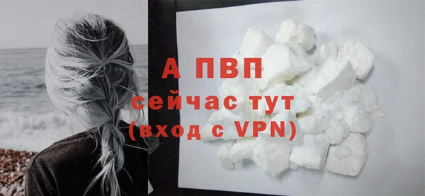 гашик Артём
