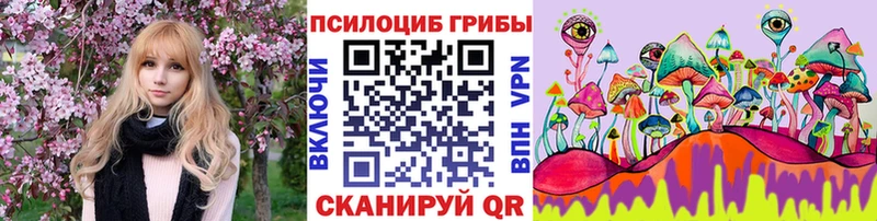 Купить закладки  Луза  Галлюциногенные грибы Cubensis 